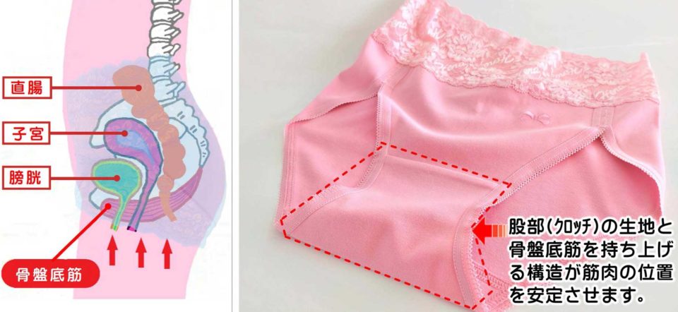 ヘーラーパンツの秘密