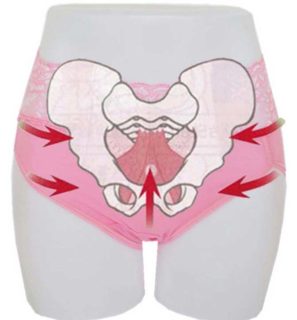 ヘーラーショーツが骨盤周りを支えます